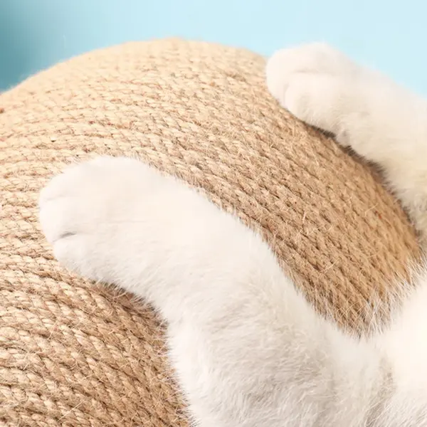 Katze Kratzen Ball Spielzeug Kätzchen Sisal Seil Ball Bord Schleifen Pfoten Spielzeug Katzen Scratcher Tragen-beständig Haustier Möbel liefert - Image 5