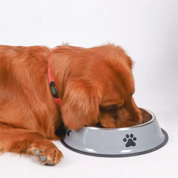 1PC Edelstahl Pet Bowl Katze Schüssel Hundefutter Schüssel Multi-Spezifikation Anti-herbst Futternapf Futternapf Fütterung haustier Liefert - Image 12