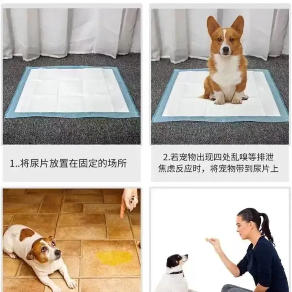 100/50/40/20PCS Saugfähige Hunde Windeln Einweg Welpen Training Pipi Pads Schnell Trockene Oberfläche Matte sauber Kissen Hund Liefert - Image 4