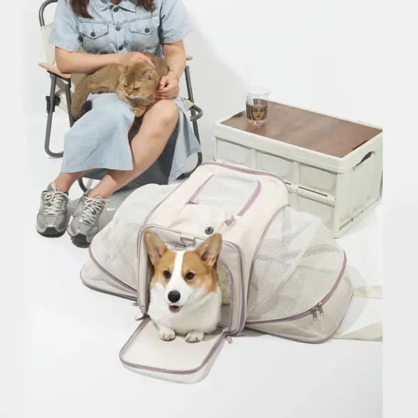 Tragbare Mesh-Umhängetasche für Haustiere, Katzen-Tragetaschen, ausgehende Reisen, Haustiere, Handtasche, Transporttasche, atmungsaktiv ﻿ - Image 3