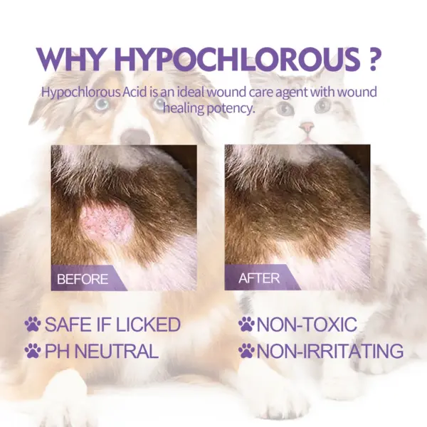 2024 Neues Haustier-Linderungs-Hautspray, lindert Juckreiz bei Hunden und Katzen, Milben entfernend, juckreizlindernd, 60 ml - Image 9