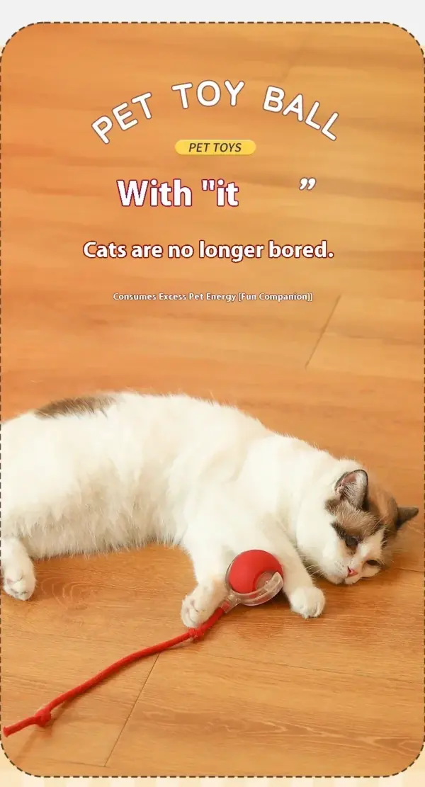 Interaktiver Spielzeugball für Katzen, Katzenspielzeug, interaktiver automatischer elektrischer Rollball, Spielzeug für Katzen, Haustierprodukte, Zubehör, Dinge - Image 11