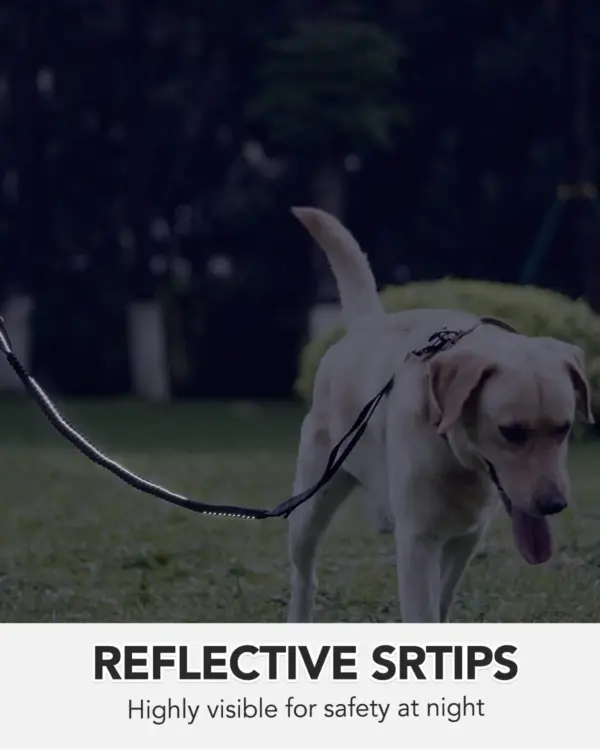 Robuste Hundeleine mit elastischem Bungee für mittelgroße und große Hunde – Stoßdämpfung und Sicherheitsclip im Lieferumfang enthalten - Image 14