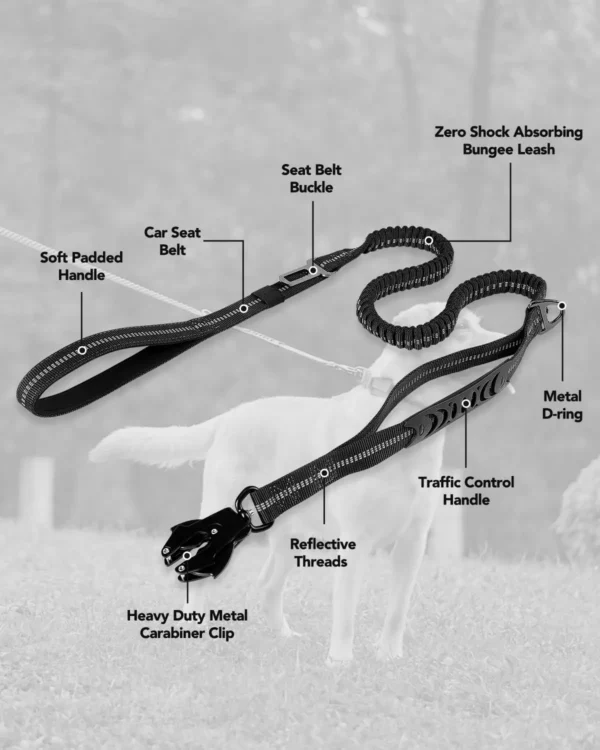 Heavy Duty Dog Leash with Elastic Bungee for Medium & Large Dogs - Shock Absorption & Safety Clip Included - Image 3
