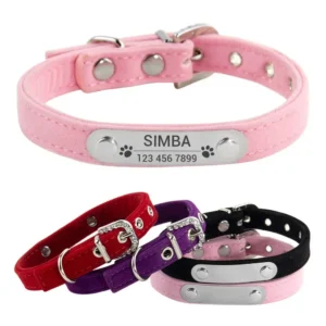 Personalisiertes Katzenhalsband aus weichem Samt, Welpen-Halskettenhalsbänder für Katzen, kleiner Hund, Kätzchen-Zubehör, individueller ID-Name, kostenlose Gravur