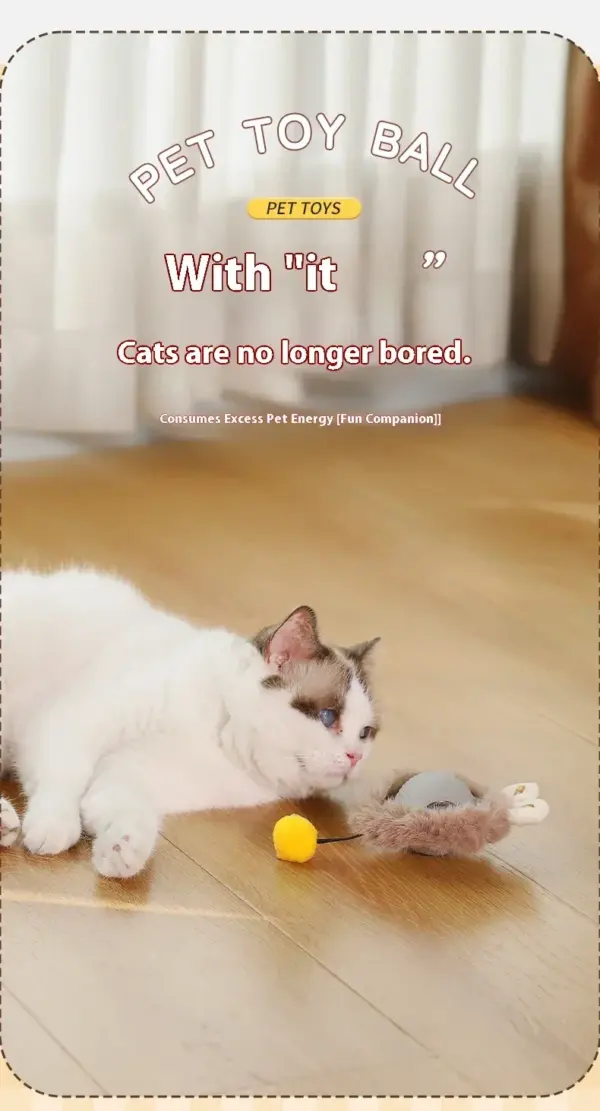 Interaktiver Katzenspielzeugball, automatischer elektrischer rollender Ball, Spielzeug für Katzen/Kätzchen, Haustiere, intelligenter automatischer Teaser, USB wiederaufladbar - Image 27