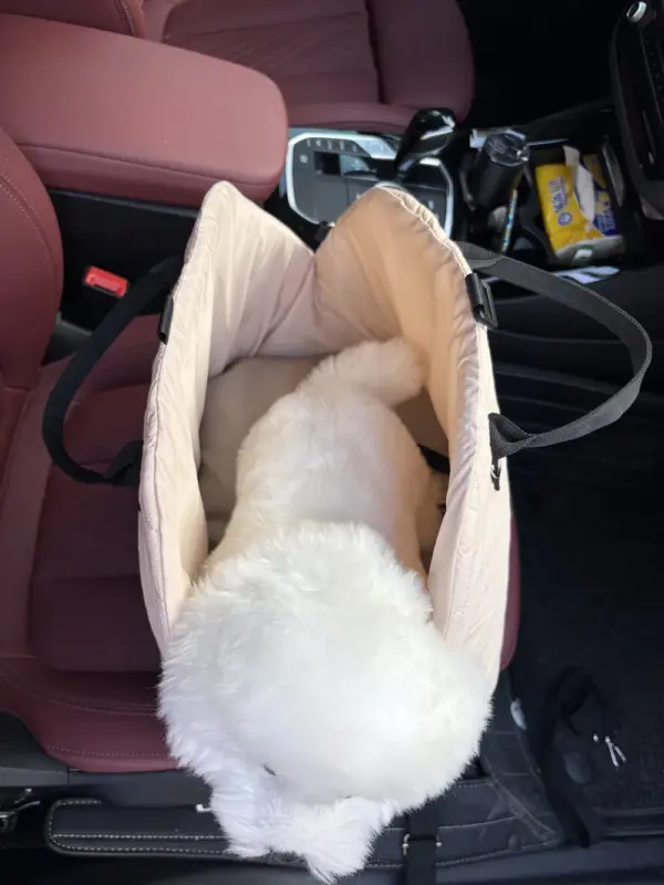 Tragbare warme Zwinger-Tragetasche für Hunde, Autositzkontrolle, rutschfeste Hundeträger, sicher, für Welpen, Katzen, Haustierbett, Chihuahua-Haustierprodukte - Image 13