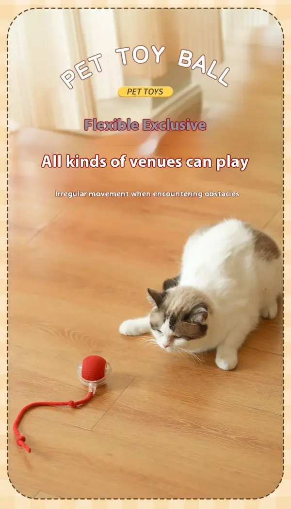 Interaktiver Katzenspielzeugball, automatischer elektrischer rollender Ball, Spielzeug für Katzen/Kätzchen, Haustiere, intelligenter automatischer Teaser, USB wiederaufladbar - Image 16