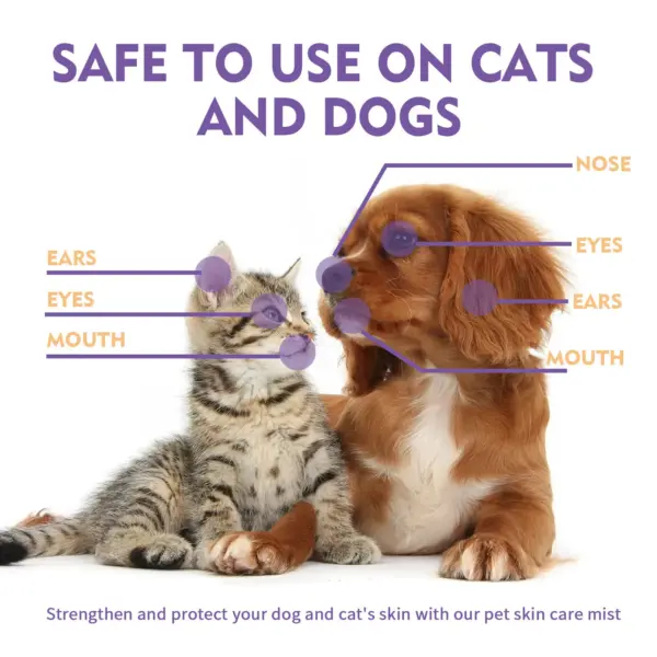 2024 Neues Haustier-Linderungs-Hautspray, lindert Juckreiz bei Hunden und Katzen, Milben entfernend, juckreizlindernd, 60 ml - Image 4
