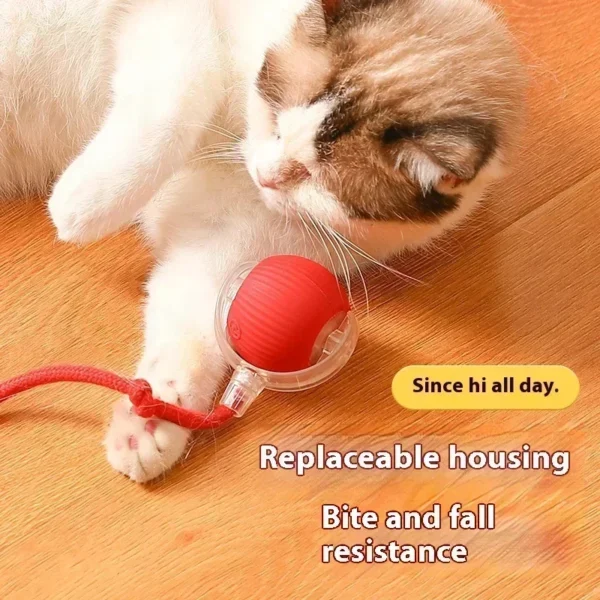 Interactive Toy Ball for Cats Cat Toys Interactive Automatic Electric Rolling Ball Toys Cats Pet Products Accessories Things - Image 4