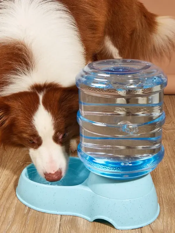 3,8 l große Kapazität Haustier Wassersp ender Hund automatische Fütterung kleine Hundefutter Schüssel Simulation Trink flasche Gerät Haustier liefert - Image 18