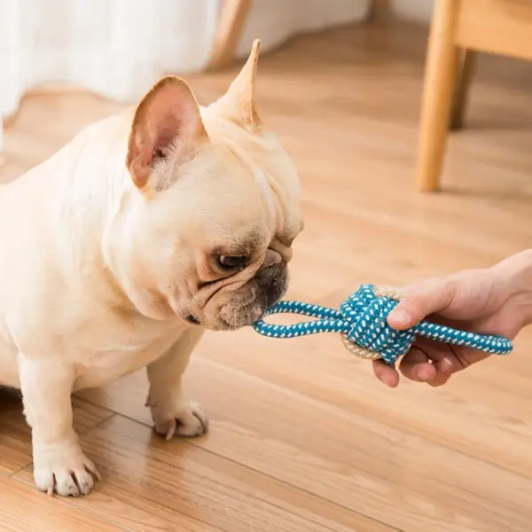 Interaktives Baumwollseil Mini-Hundespielzeug Ball für Hunde Zubehör Zahnbürste Kauen Welpenspielzeug für große kleine Hunde Spielzeug Haustier Hundespielzeug - Image 2