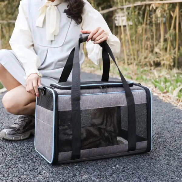 Haustier Trolley Tasche abnehmbarer Roll träger für kleine Hunde Katzen tragbare Reise träger mit Teleskop griff und Schulter gurt - Image 21