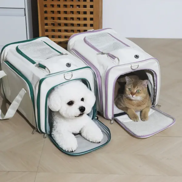 Tragbare Mesh-Umhängetasche für Haustiere, Katzen-Tragetaschen, ausgehende Reisen, Haustiere, Handtasche, Transporttasche, atmungsaktiv ﻿ - Image 2