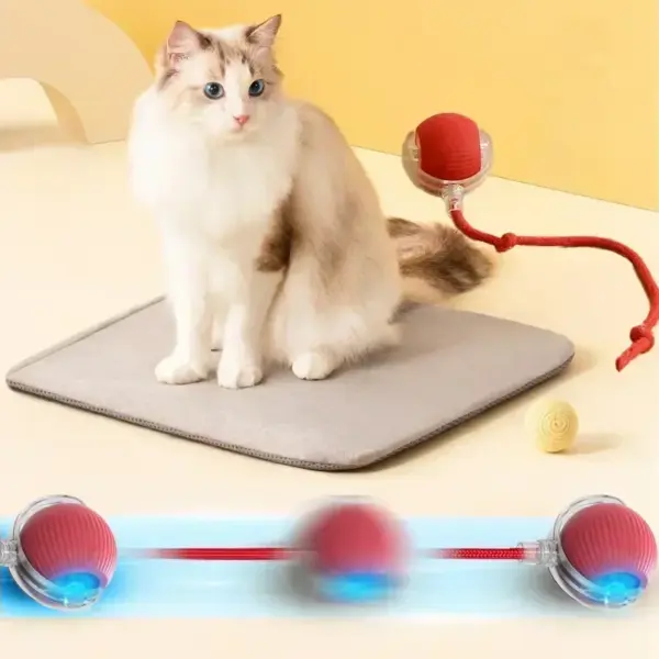 Interaktiver Spielzeugball für Katzen, Katzenspielzeug, interaktiver automatischer elektrischer Rollball, Spielzeug für Katzen, Haustierprodukte, Zubehör, Dinge - Image 5