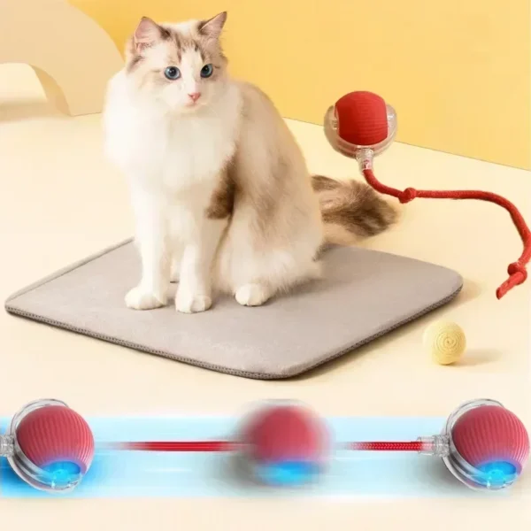 Interactive Toy Ball for Cats Cat Toys Interactive Automatic Electric Rolling Ball Toys Cats Pet Products Accessories Things - Image 5