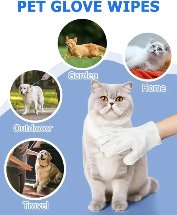 Reinigungs tücher Handschuhe für Hund und Katze, Haustier Bade tücher reinigen & desodor ieren, Hunde tücher für Körper pfoten Hintern tägliche Pflege, Katzen bräutigam - Image 6