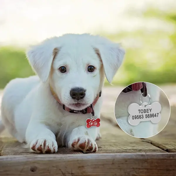 Personalisiertes Namensschild für Hunde und Katzen, glitzernde Strasssteine, Welpen, Kätzchen, Anti-Verlust-Haustierhalsband, Zubehör, kostenlose gravierte Haustierprodukte - Image 59