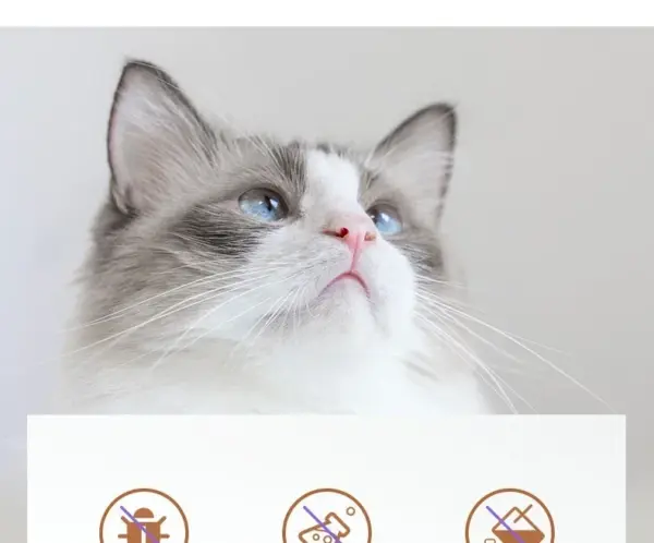 Große Hundefutter Lagerung Eimer Tiernahrung Lagerung Eimer Lebensmittel Dichtung Feuchtigkeit-beständig Katze Trockenfutter Eimer Lagerung Box Pet Snacks Eimer - Image 18