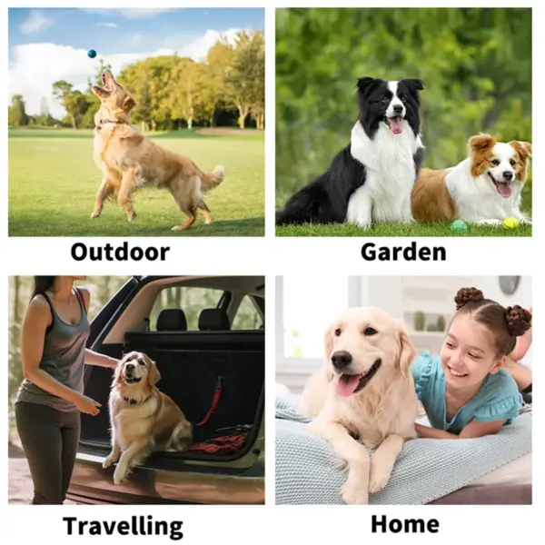 Reinigungs tücher Handschuhe für Hund und Katze, Haustier Bade tücher reinigen & desodor ieren, Hunde tücher für Körper pfoten Hintern tägliche Pflege, Katzen bräutigam - Image 8