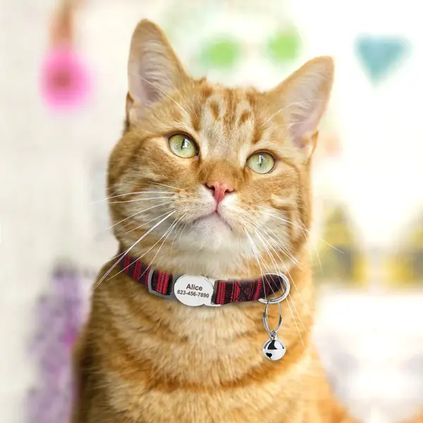 Personalisiertes bedrucktes Katzenhalsband, verstellbare Kätzchen-Welpenhalsbänder mit kostenlos graviertem ID-Namensschild, Glocke, Anti-Verlust-Katzenhalsbänder - Image 5