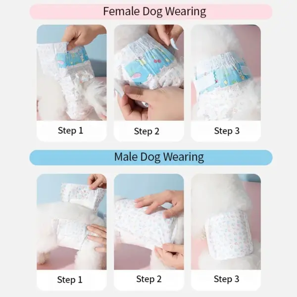 10 Stück Einweg-Haustierwindeln für Männer und Frauen, Hunde, saugfähige Hunde-Einwegunterwäsche, physiologische Hosen für Hunde, Welpen - Image 9