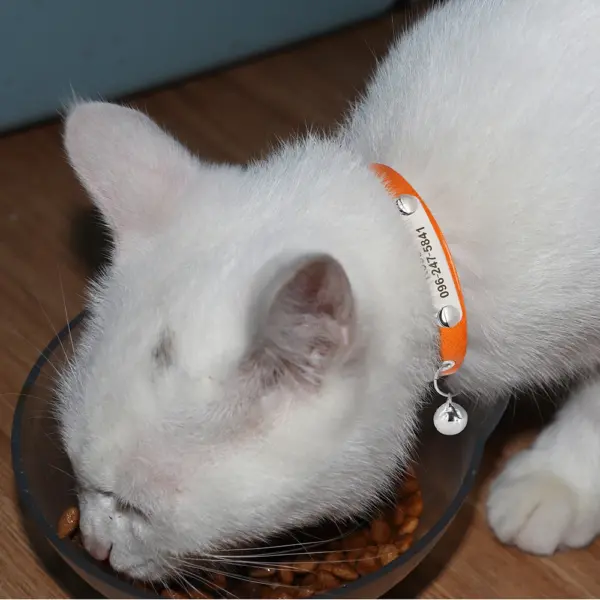 Personalisiertes Katzenhalsband, verstellbares Leder, Haustier-Katzenhalsbänder, Halskette, individuelle Namenshalsbänder für Welpen und Kätzchen, Anti-Verlust-Katzen-Zubehör - Image 23
