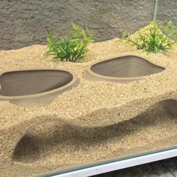Benthische Organismen, unterirdische Pisten, Höhlen, Doppelloch-Aquarien, Aquarien, Landschaftsbau, Orte, Höhlen, Aquarien, de - Image 4