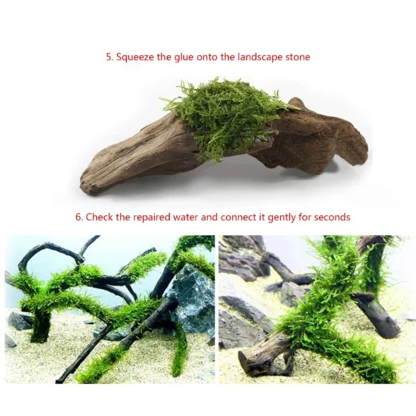 Fish Tanks Landscaping Aquarium No Marks Aquarium Supplies - Image 3