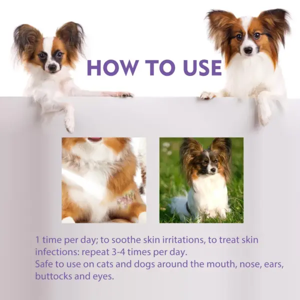 2024 Neues Haustier-Linderungs-Hautspray, lindert Juckreiz bei Hunden und Katzen, Milben entfernend, juckreizlindernd, 60 ml - Image 3