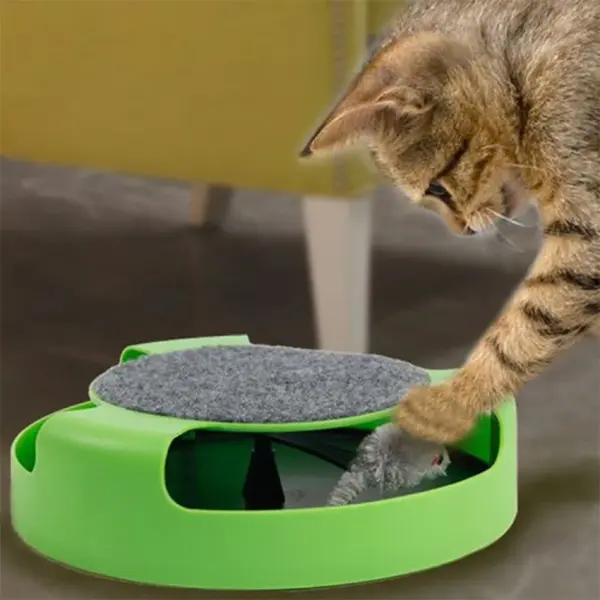 Katze Spielzeug Plattenspieler Roller Maus Spielzeug Interaktive Intelligenz Training Track Lustige Spiele Katze Scratcher Spielzeug Haustier Spielzeug Zubehör - Image 11