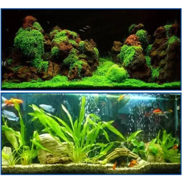 Aquarien, Landschaftsbau, Kleber, Aquarium, keine Spuren, Aquariumzubehör - Image 5