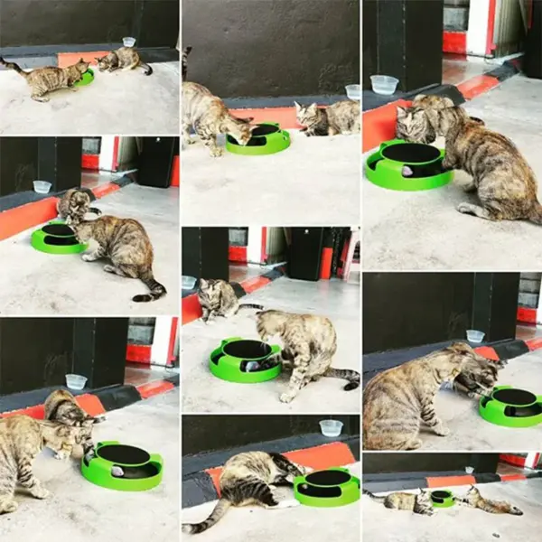 Katze Spielzeug Plattenspieler Roller Maus Spielzeug Interaktive Intelligenz Training Track Lustige Spiele Katze Scratcher Spielzeug Haustier Spielzeug Zubehör - Image 17