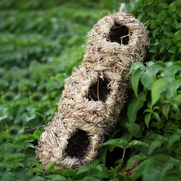 1pc Natürliche Handgemachte Stroh Vogel Nest Taube Haus Papagei Nest Warme Haustier Schlafzimmer Hof Kleine Tier Vogel Käfige - Image 20