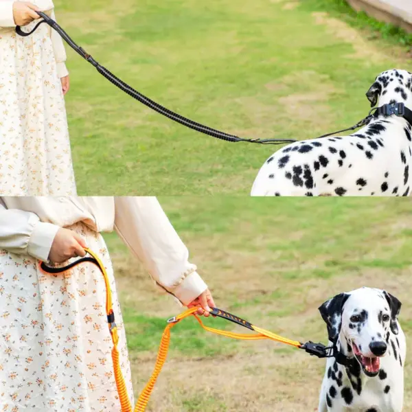 Robuste Hundeleine mit elastischem Bungee für mittelgroße und große Hunde – Stoßdämpfung und Sicherheitsclip im Lieferumfang enthalten - Image 26