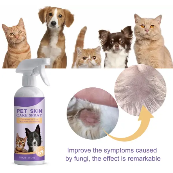 2024 Neues Haustier-Linderungs-Hautspray, lindert Juckreiz bei Hunden und Katzen, Milben entfernend, juckreizlindernd, 60 ml - Image 10