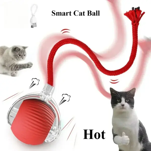 Interaktiver Spielzeugball für Katzen, Katzenspielzeug, interaktiver automatischer elektrischer Rollball, Spielzeug für Katzen, Haustierprodukte, Zubehör, Dinge