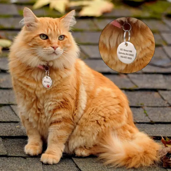 Personalisiertes Namensschild für Hunde und Katzen, glitzernde Strasssteine, Welpen, Kätzchen, Anti-Verlust-Haustierhalsband, Zubehör, kostenlose gravierte Haustierprodukte - Image 60