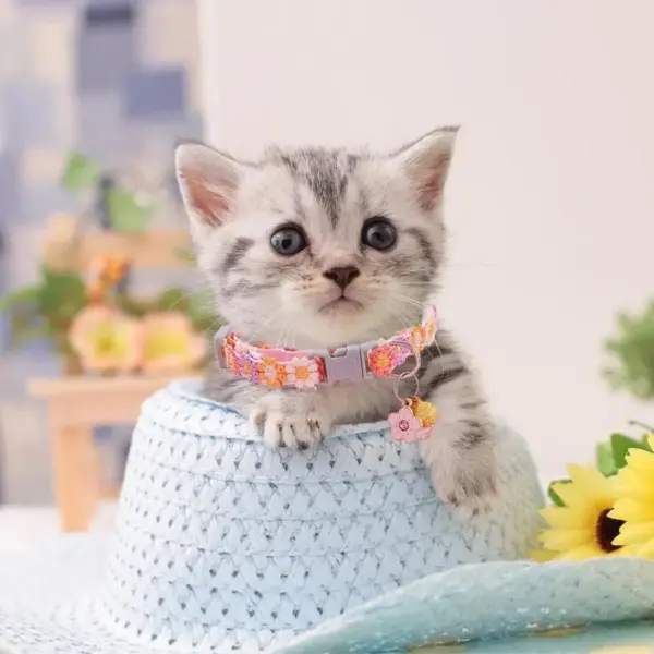 Kätzchenhalsband, abtrünniges, verstellbares Hundehalsband mit Glöckchen, Heimtierbedarf, Katzenzubehör, niedliches Kätzchen-Kostüm, Halsdekoration für Welpen - Image 3