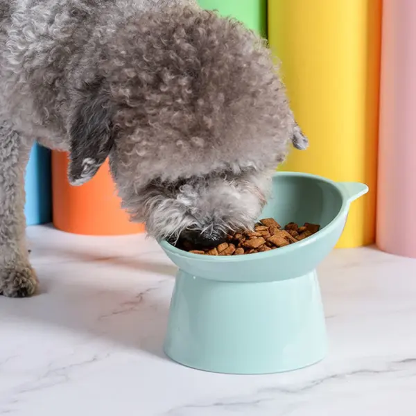 Haustier Katze Hunden apf hoher Fuß Hunden apf Hals schutz Katze Tiernahrung Wasserschale Anti-Umkippen binaural wasch bar Haustier Futters chale - Image 16