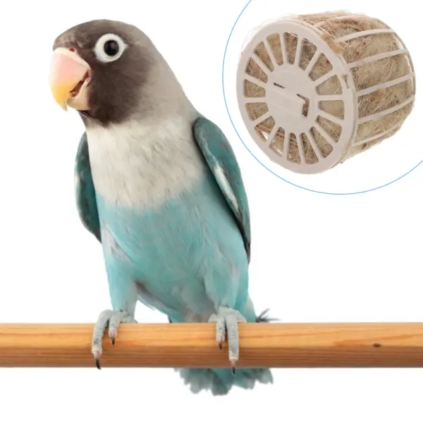 Vogelnest-Spielzeug, Tauben-Schlüpfnester für Käfige, entspannendes Becken, hohle Zuchtvögel aus Kunststoff - Image 2