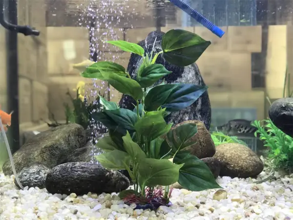 Künstliche Aquarium-Dekoration, Pflanzen, Kunststoff-Wasserpflanze mit großen grünen Blättern, Unterwasserpflanzen, Aquarium-Wasserpflanze schmücken - Image 10