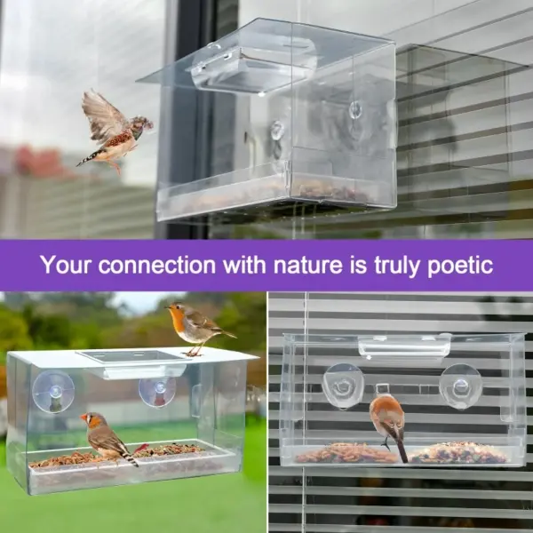 Neue Acryl Saugnapf Vogel Feeder Wilde Tauben Kolibris Faltbare Vogel Käfige Nester Hängen Fenster Feeder Pet Liefert - Image 3