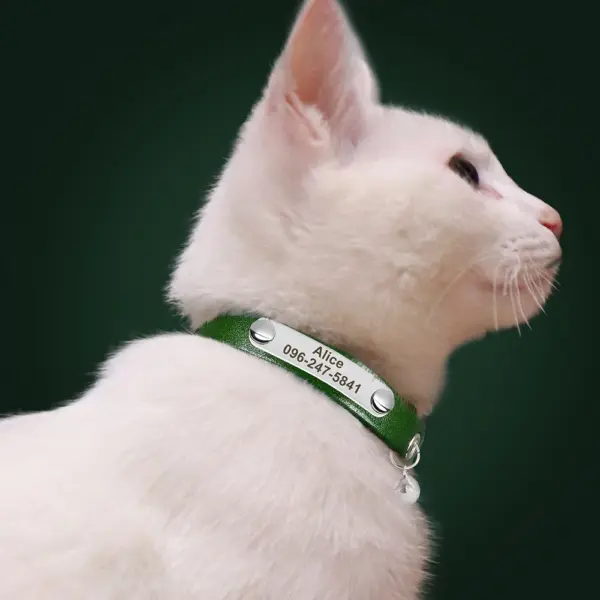 Personalisiertes Katzenhalsband, verstellbares Leder, Haustier-Katzenhalsbänder, Halskette, individuelle Namenshalsbänder für Welpen und Kätzchen, Anti-Verlust-Katzen-Zubehör - Image 24