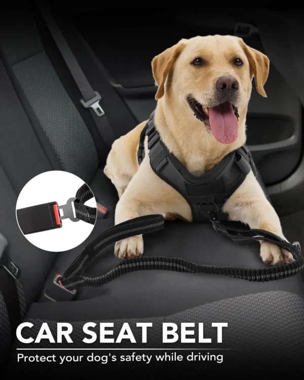 Heavy Duty Dog Leash with Elastic Bungee for Medium & Large Dogs - Shock Absorption & Safety Clip Included - Image 5