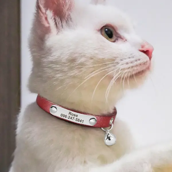 Personalisiertes Katzenhalsband, verstellbares Leder, Haustier-Katzenhalsbänder, Halskette, individuelle Namenshalsbänder für Welpen und Kätzchen, Anti-Verlust-Katzen-Zubehör - Image 5