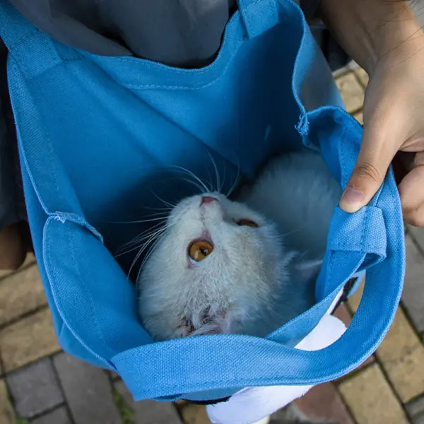 Träger für Katzen träger Haustiere Handtasche Haustier träger Katzen rucksack mit Welpen tasche Reisetasche Großraum transporter für Katzen - Image 5