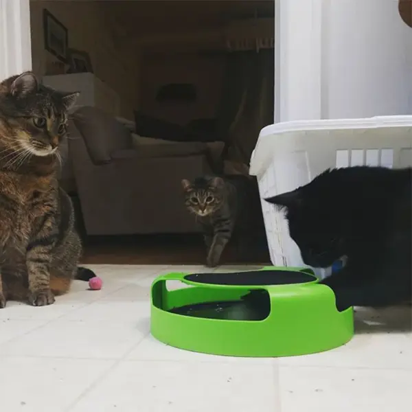 Katze Spielzeug Plattenspieler Roller Maus Spielzeug Interaktive Intelligenz Training Track Lustige Spiele Katze Scratcher Spielzeug Haustier Spielzeug Zubehör - Image 16