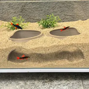 Benthische Organismen, unterirdische Pisten, Höhlen, Doppelloch-Aquarien, Aquarien, Landschaftsbau, Orte, Höhlen, Aquarien, de