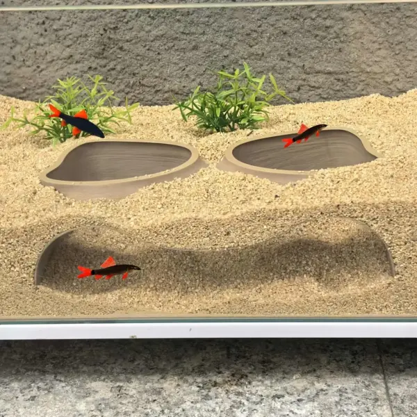 Benthische Organismen, unterirdische Pisten, Höhlen, Doppelloch-Aquarien, Aquarien, Landschaftsbau, Orte, Höhlen, Aquarien, de